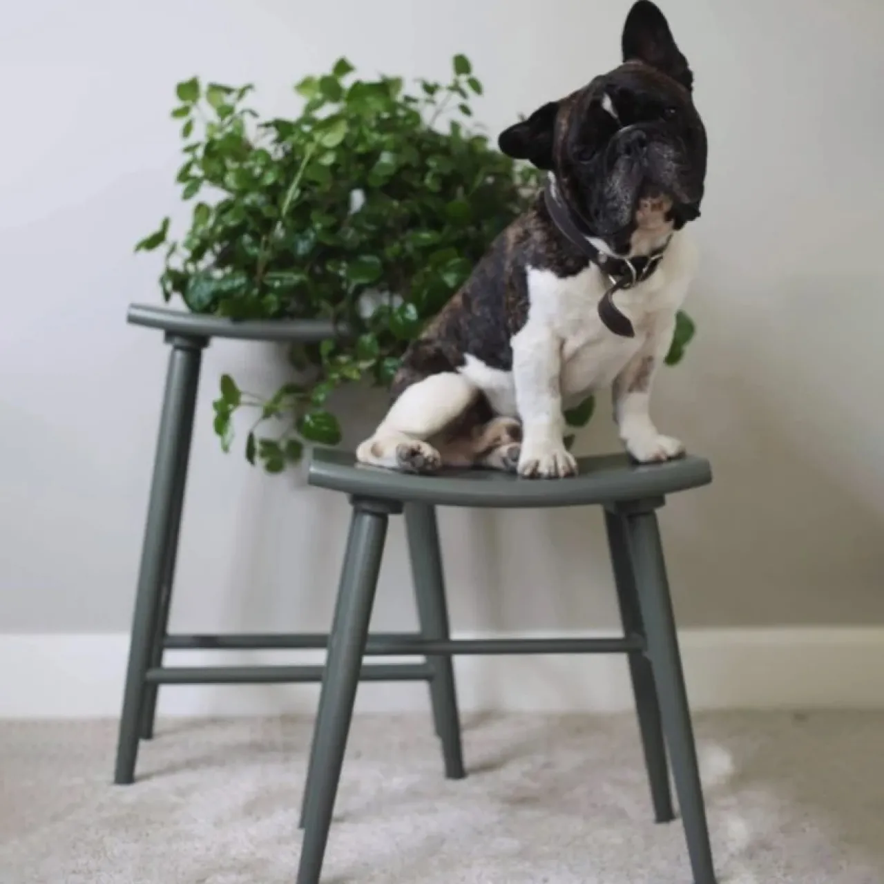 Best Barpall Emil Mörkgrön Barstolar & Barpallar|Pallar