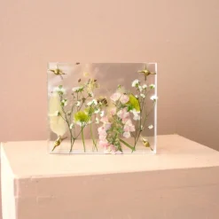 New Blompress Ängsfälla Sommarfavoriter