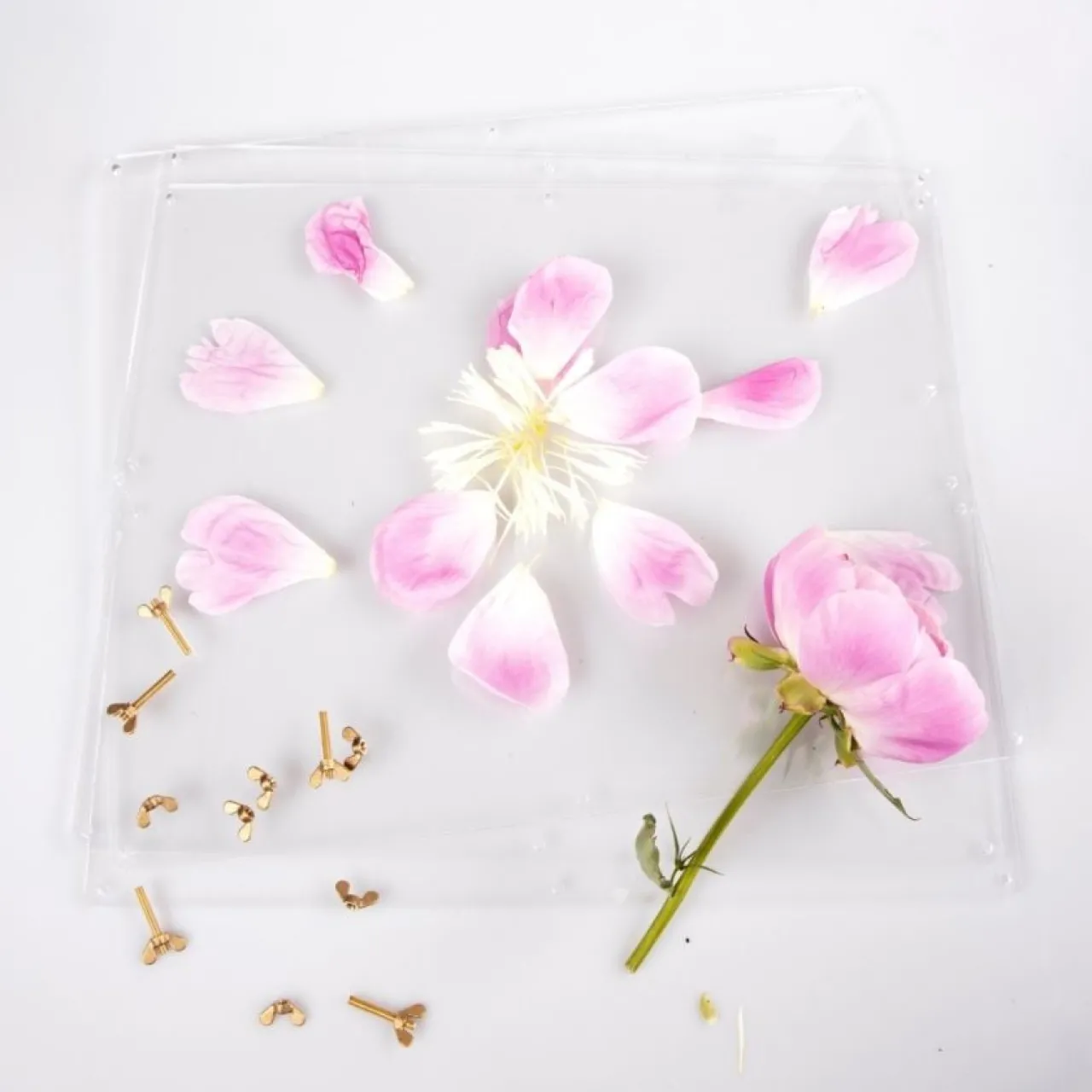 Sale Blompress Ängsfälla Fönster Sommarfavoriter