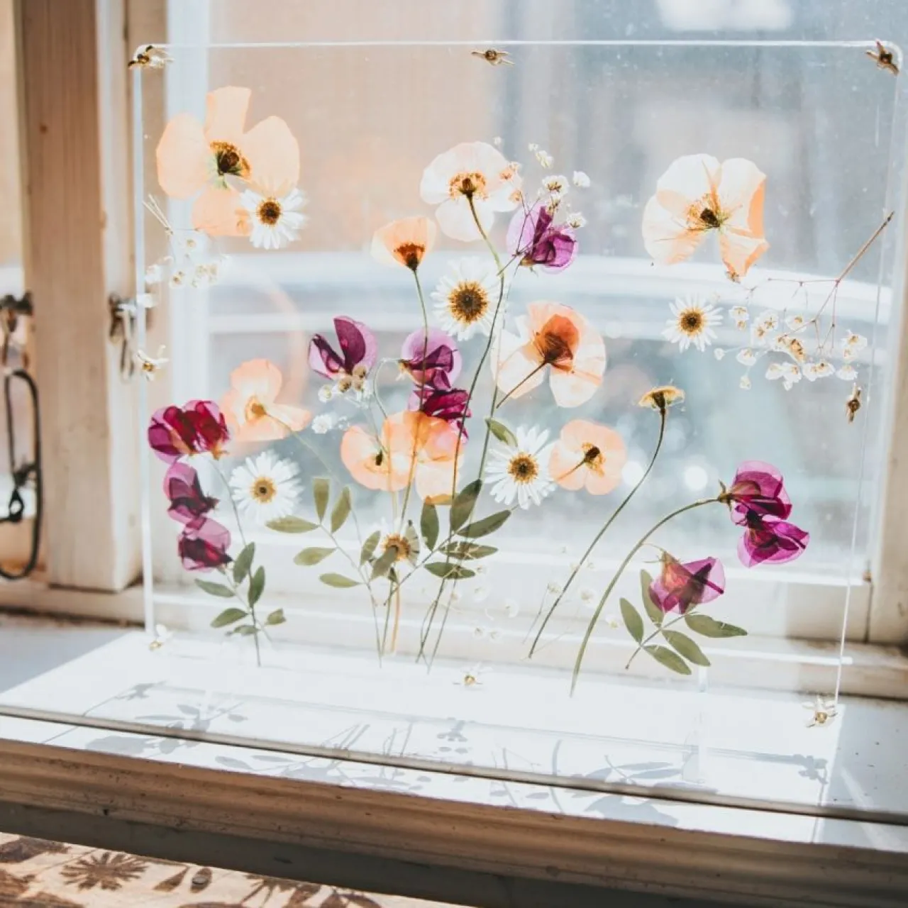 Sale Blompress Ängsfälla Fönster Sommarfavoriter