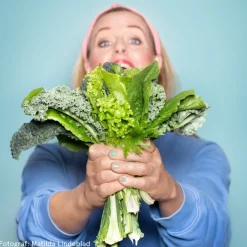 Clearance Bok Sallader med smak Köksinredning|Kokböcker