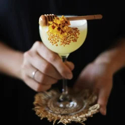 Hot Bok Vilda drinkar - en smak av naturen Kokböcker|Sommarfavoriter