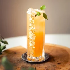 Hot Bok Vilda drinkar - en smak av naturen Kokböcker|Sommarfavoriter