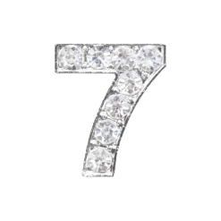 DRMZ 7 - Silver Rhinestone Drmz