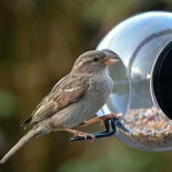 Hot Fågelmatare med sugpropp Träfigurer|Till Julklappsspelet