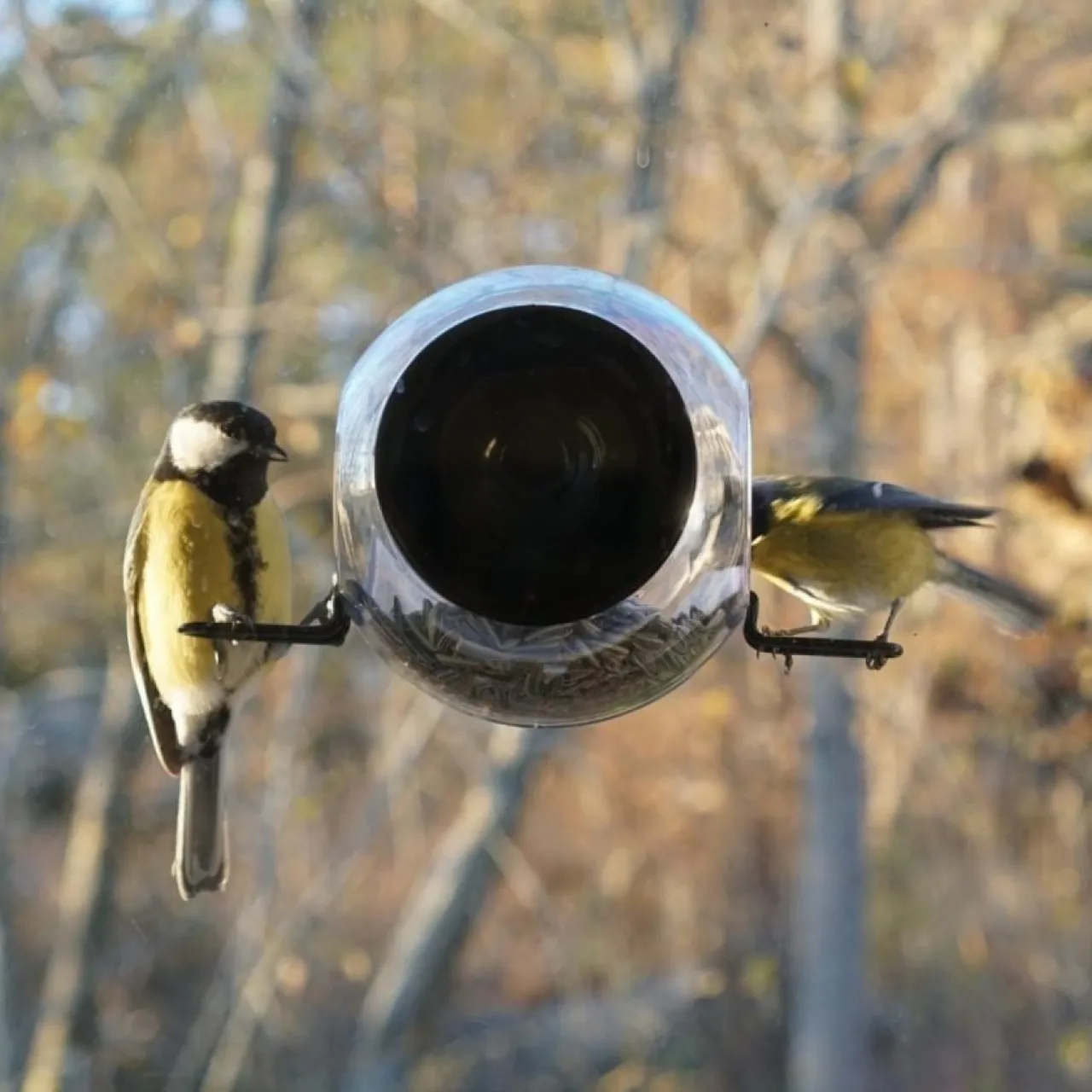 Hot Fågelmatare med sugpropp Träfigurer|Till Julklappsspelet