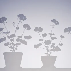 Outlet Fönstermönster Pelargon liten Insynsskydd