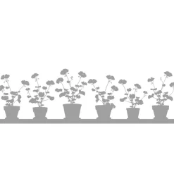 Online Fönstermönster Pelargon stor Insynsskydd