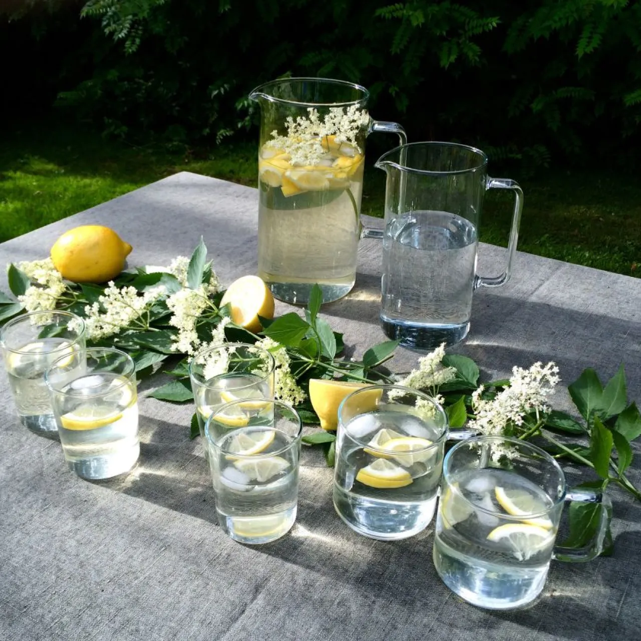 Online Glas glas 2 dl Tekoppar|Kaffekoppar