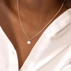 New Halsband Bring Me Luck 44cm Silver Halsband Silver