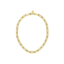 Discount Halsband Ivy Maxi Guld Halsband Guld
