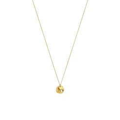 Hot Halsband Paxton Long Guld Halsband Guld|Smycken Dam