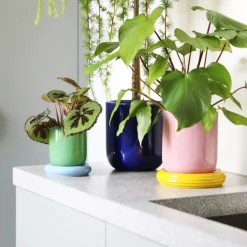 Discount Kruka Churros S Grön/Blå Krukor