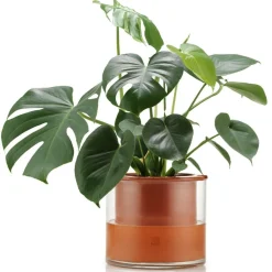 Hot Kruka Wet Pot L Krukor|Sommarfavoriter