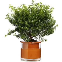 Best Kruka Wet Pot M Krukor|Sommarfavoriter