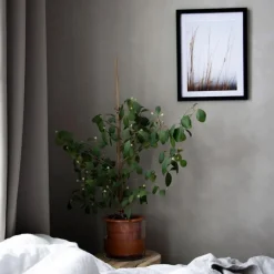 Best Kruka Wet Pot M Krukor|Sommarfavoriter