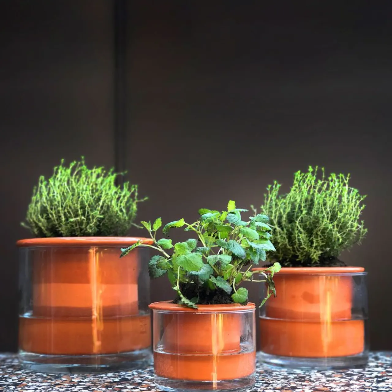 Clearance Kruka Wet Pot S Krukor|Sommarfavoriter