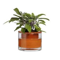 Discount Kruka Wet Pot XS Krukor|Sommarfavoriter