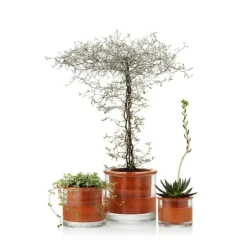 Discount Kruka Wet Pot XS Krukor|Sommarfavoriter