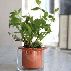 Discount Kruka Wet Pot XS Krukor|Sommarfavoriter