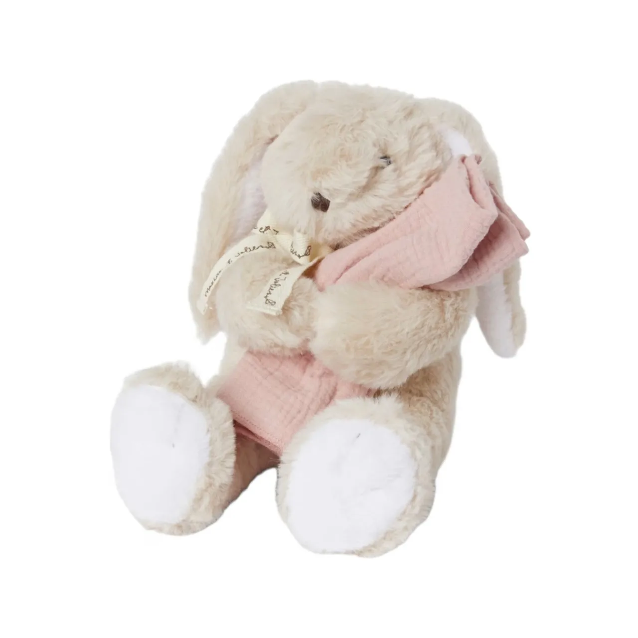 Hot Presentbox Camille kanin + filt Rosa Barn Leksaker