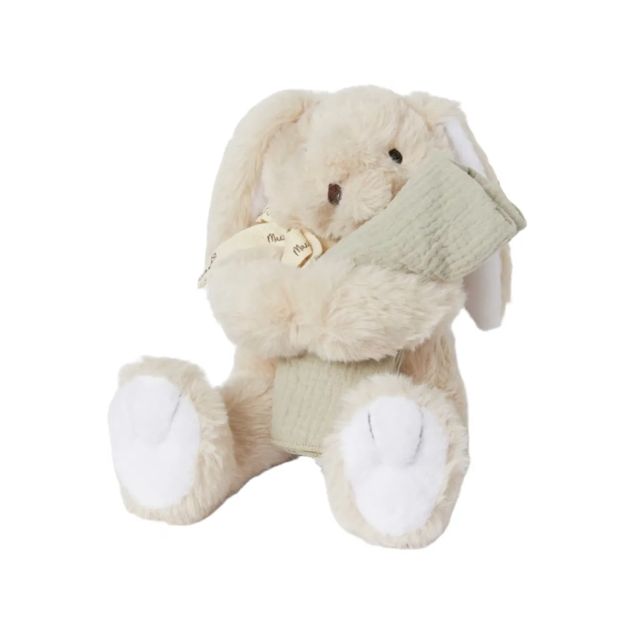 Hot Presentbox Camille kanin + filt Grön Barn Leksaker