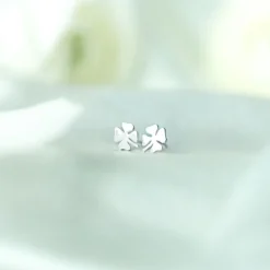 Hot Örhängen Bring Me Luck Silver Örhängen Guld|Adventspresenter