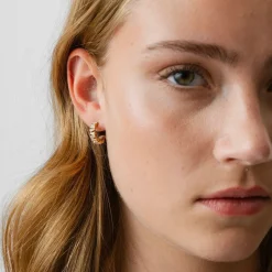 Hot Örhängen Iggy Guld Örhängen Guld