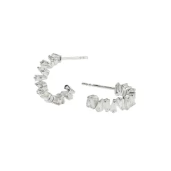 New Örhängen Iggy Silver Örhängen Silver