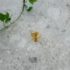 Hot Ring Loop Guld Ringar Guld