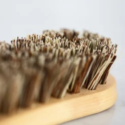 Best Rotfruktsborste Köksinredning|Tillagning & Redskap