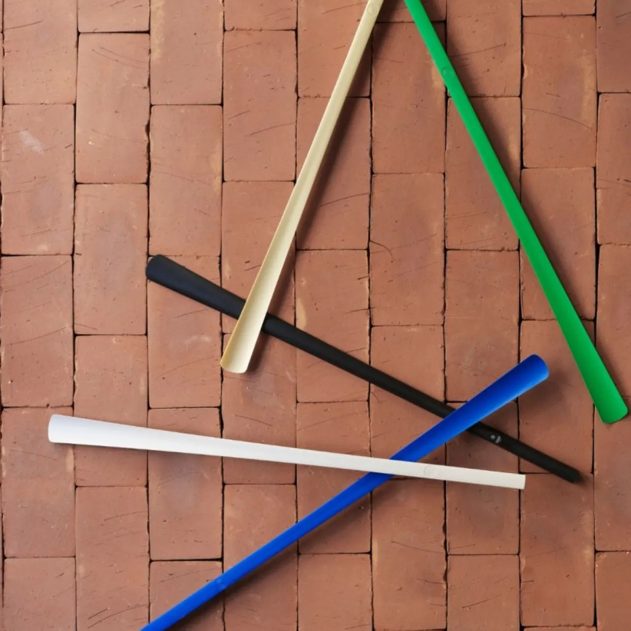 Hot Skohorn magnetisk Hallförvaring