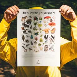 Hot Spel Memo Skogen Barn Barnspel|Spel