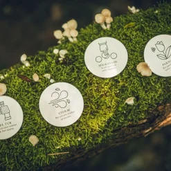 Hot Spel Memo Skogen Barn Barnspel|Spel