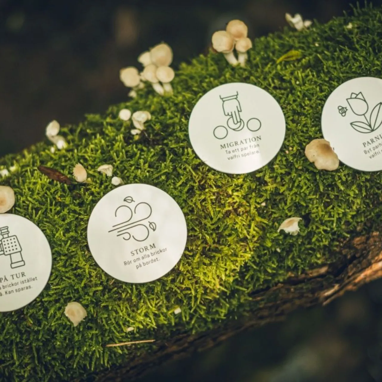 Hot Spel Memo Skogen Barn Barnspel|Spel