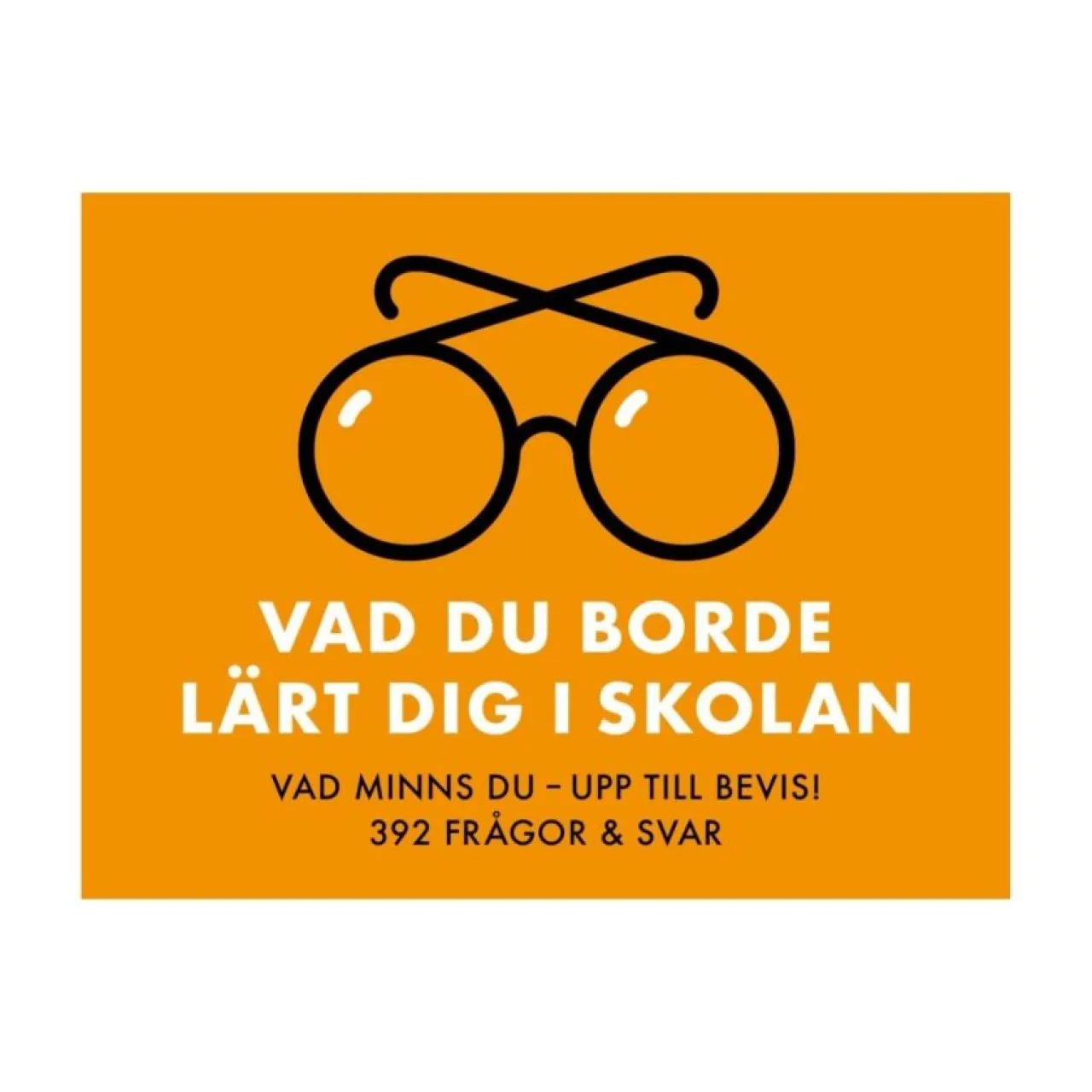 Discount Spel Vad du borde lärt dig i skolan Spel