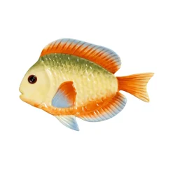 Outlet Tallrik fisk rainbow Tallrikar|Köksinredning
