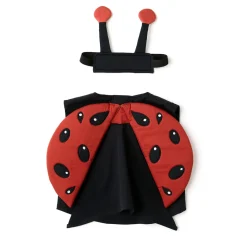 Discount Utklädnad Nyckelpiga set Barn Utklädnad