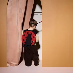 Discount Utklädnad Nyckelpiga set Barn Utklädnad