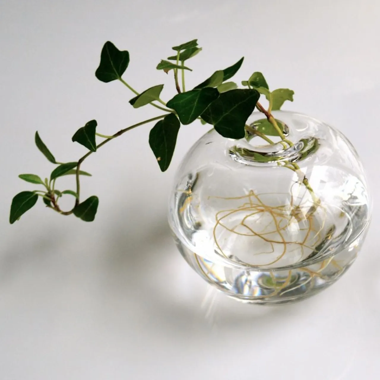 Online Vas Evelina stor Vaser