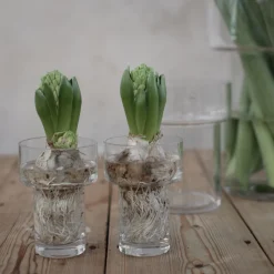 Vas KEEPER clear S Vaser|Novent