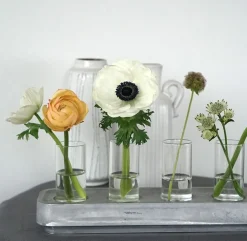 Hot Vas mini Stumpastaken 4-p Vaser|Novent