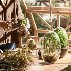 Sale Växthus Grow Glas L Vaser