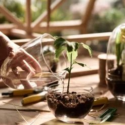 Sale Växthus Grow Glas L Vaser