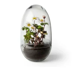 Discount Växthus Grow Glas M Vaser