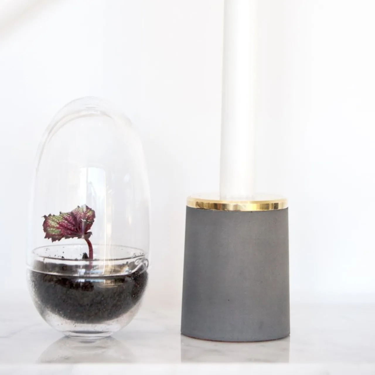 Clearance Växthus Grow Glas S Vaser