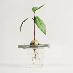 Discount Växtställ Regrow Svart Vaser